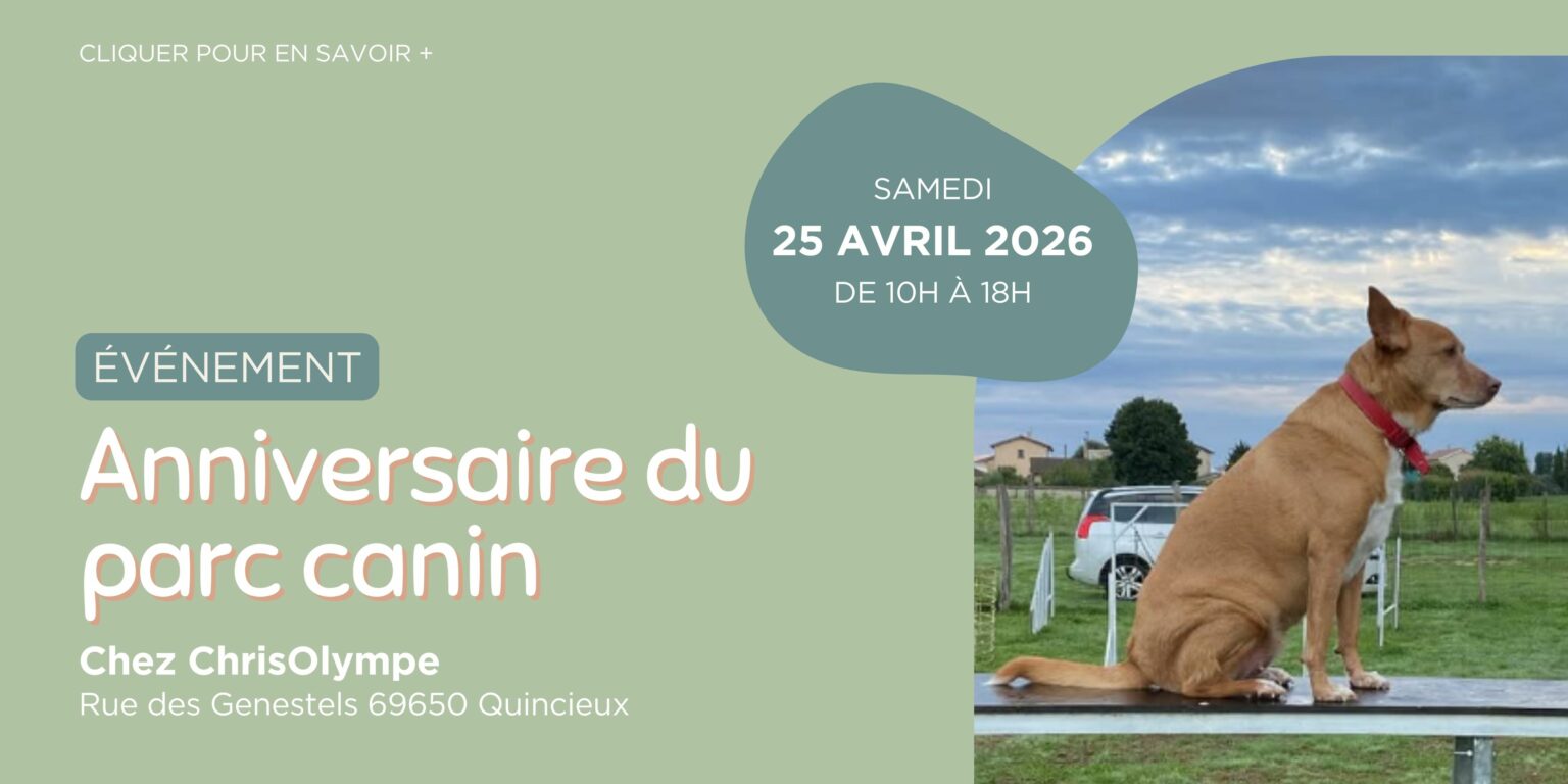 Anniversaire ChrisOlympe