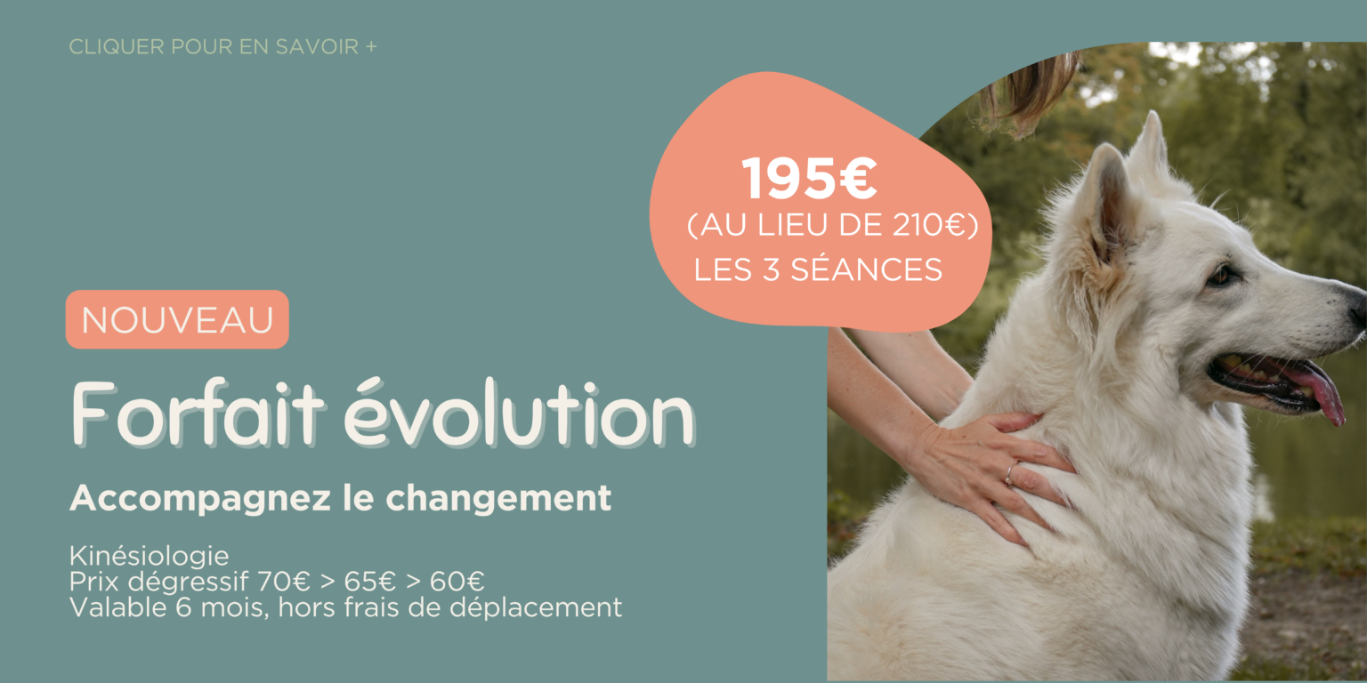 Bannières site MAC_Offre lancement & Salon Neuville (1)