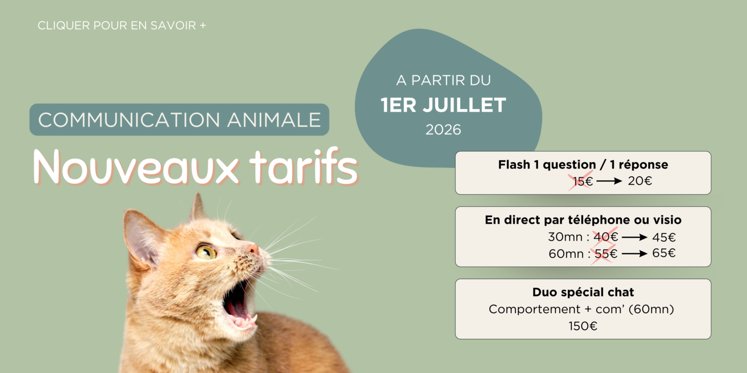 Communication animale distance